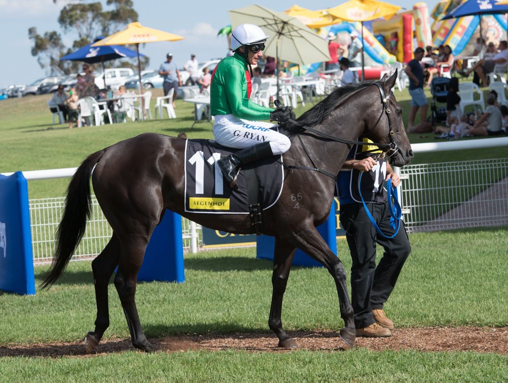 sconeraceclub's tweet photo. MISSYBEEL won R6 @SegenhoeGroup Class 1 & Maiden Plate Showcase 1600m in RT 1.35.54 (ST 35.72). Official margins Neck x 4.5 lengths @BBakerRacing #GregRyan https://t.co/vaDieHj4AT