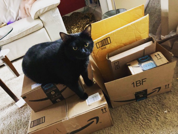 I guess I haven&rsquo;t checked my mail in awhile 🙈📦 https://t.co/34b9Xda52V<a href="/tag/onmfc"class="tags"><span>#onmfc</span></a>