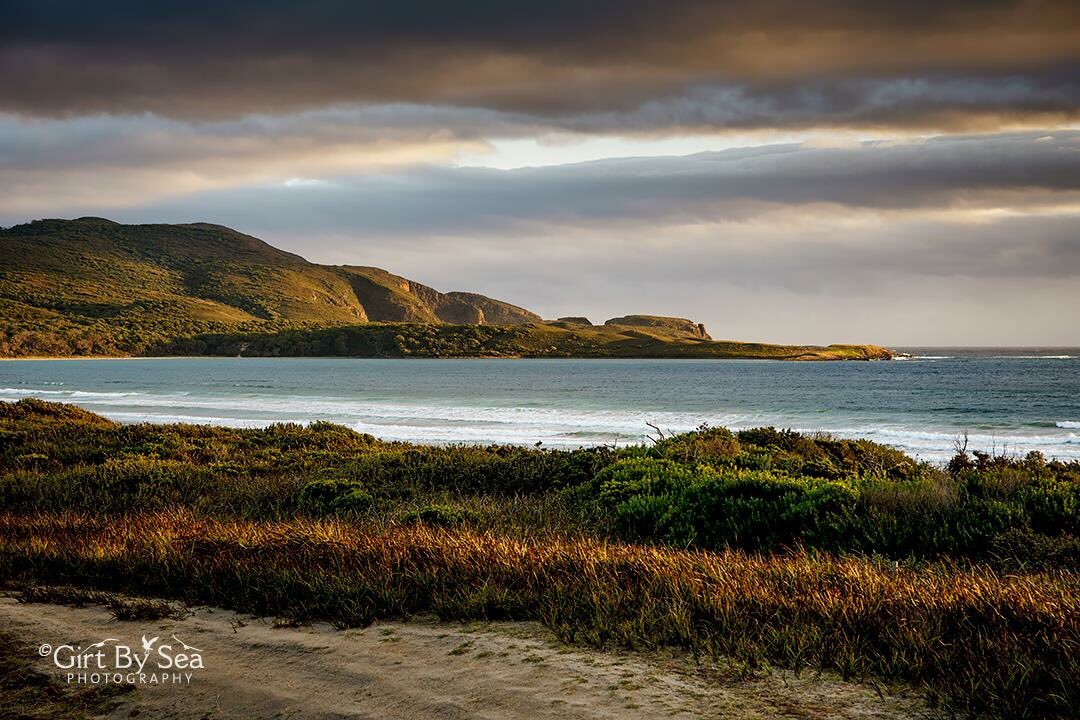 GirtBySeaPhoto's tweet photo. Had a great week’s holiday in #Tasmania including a few nights at this beautiful part of South Bruny Island #discovertasmania #seeaustralia #photography #brunyisland https://t.co/hphIDAKpso