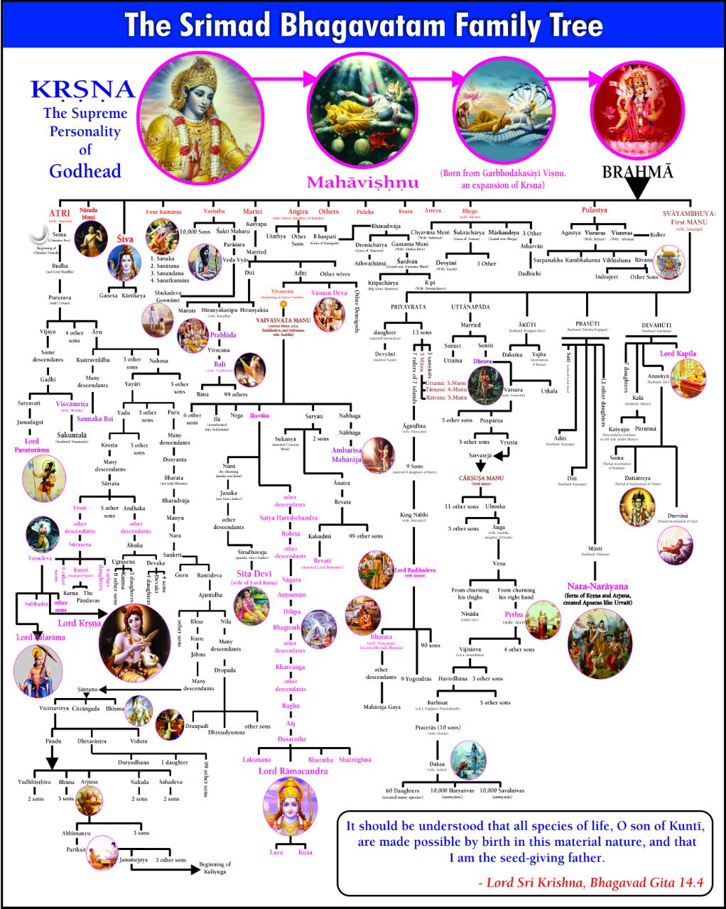 FAMILY TREE OF SARDARS A3 Size Jpg Sri Krishna Developer, 60 OFF