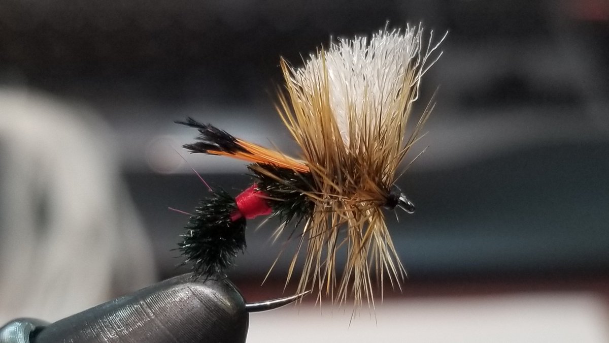 DropFliesOrg tweet picture