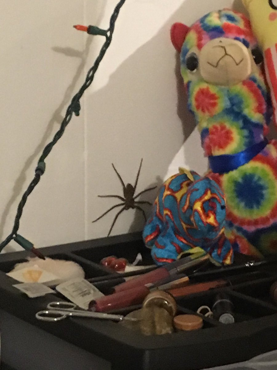 WHEN A POST SAYS RT OR YOULL FIND THIS IN YOUR ROOM. YALL BETTER MF RT IT BC IT HAPPENED BITCH❗️❗️❗️❗️❗️❗️❗️❗️❗️❗️❗️❗️❗️❗️