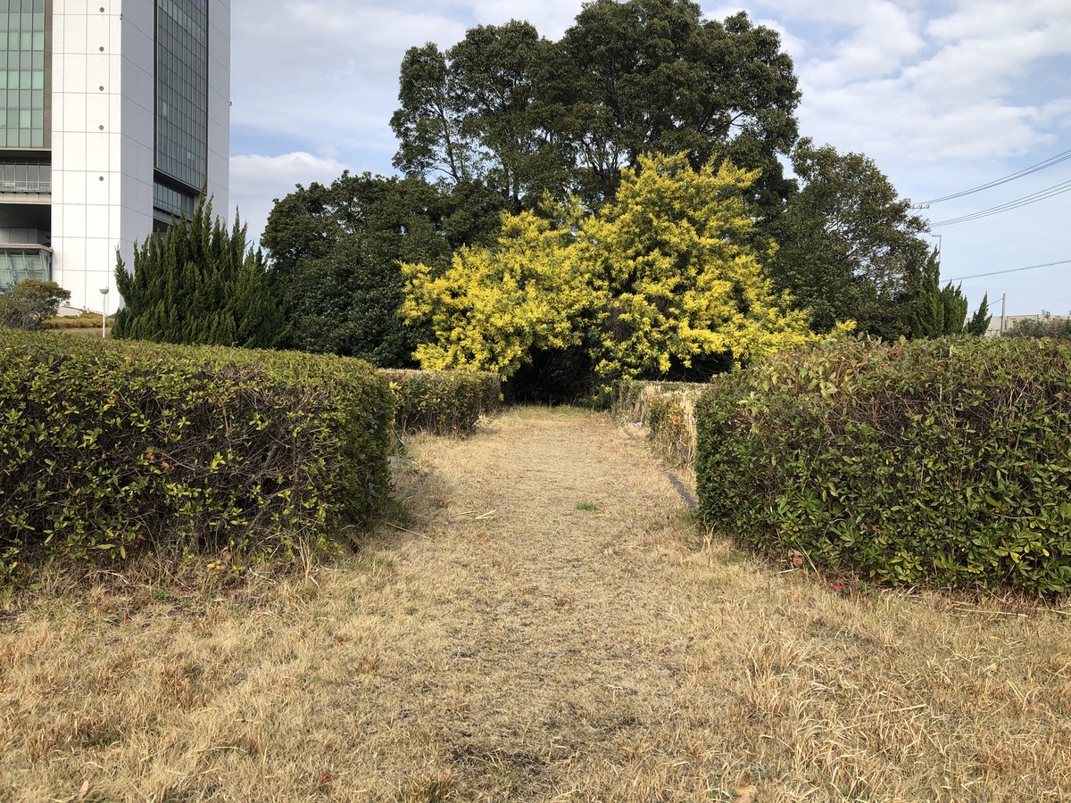 シドニー港公園 シドニー港公園