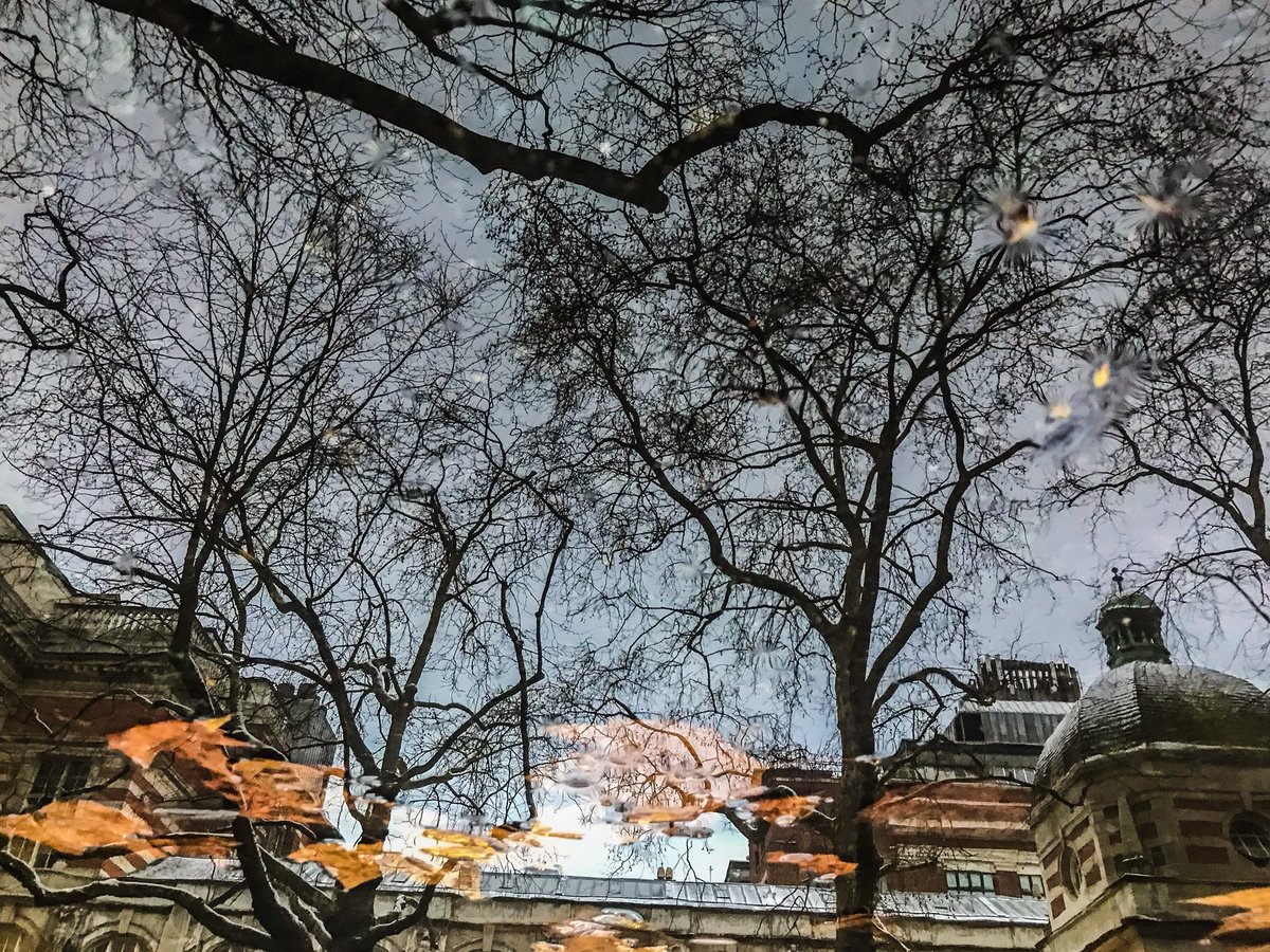 MahamoodMubarak's tweet image. Imperial College London
#AfterSnow #PuddleReflection @imperialcollege