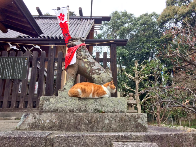 ぶらり散歩 
