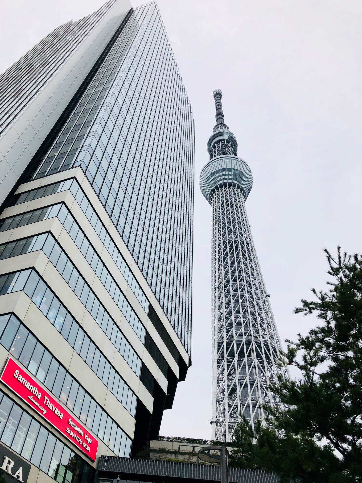 See Digitarou S Tweet Twitter