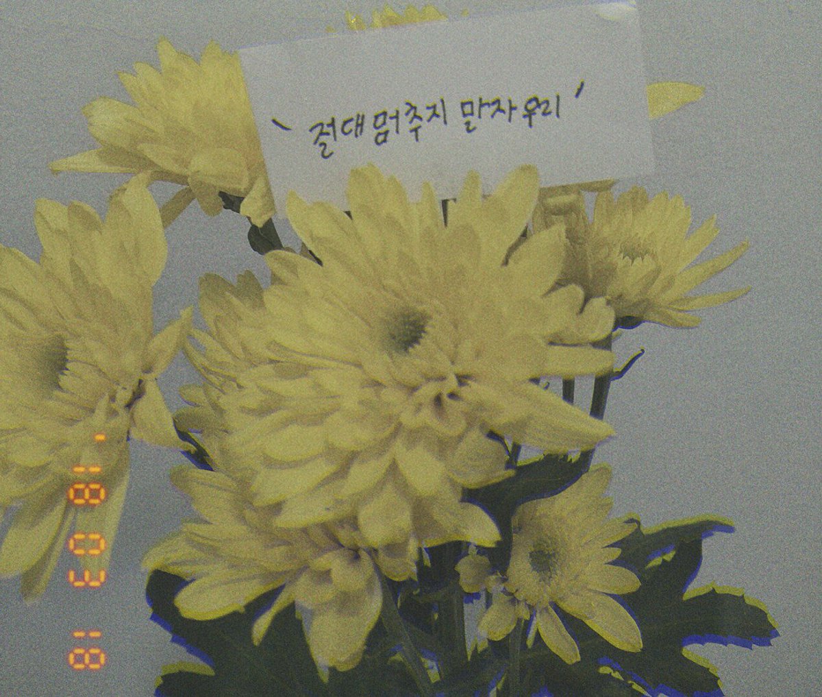 _JJHannah's tweet photo. 절대멈추지 말자 우리 ... #787년_연장해_바라기 https://t.co/vntqRdCzW6