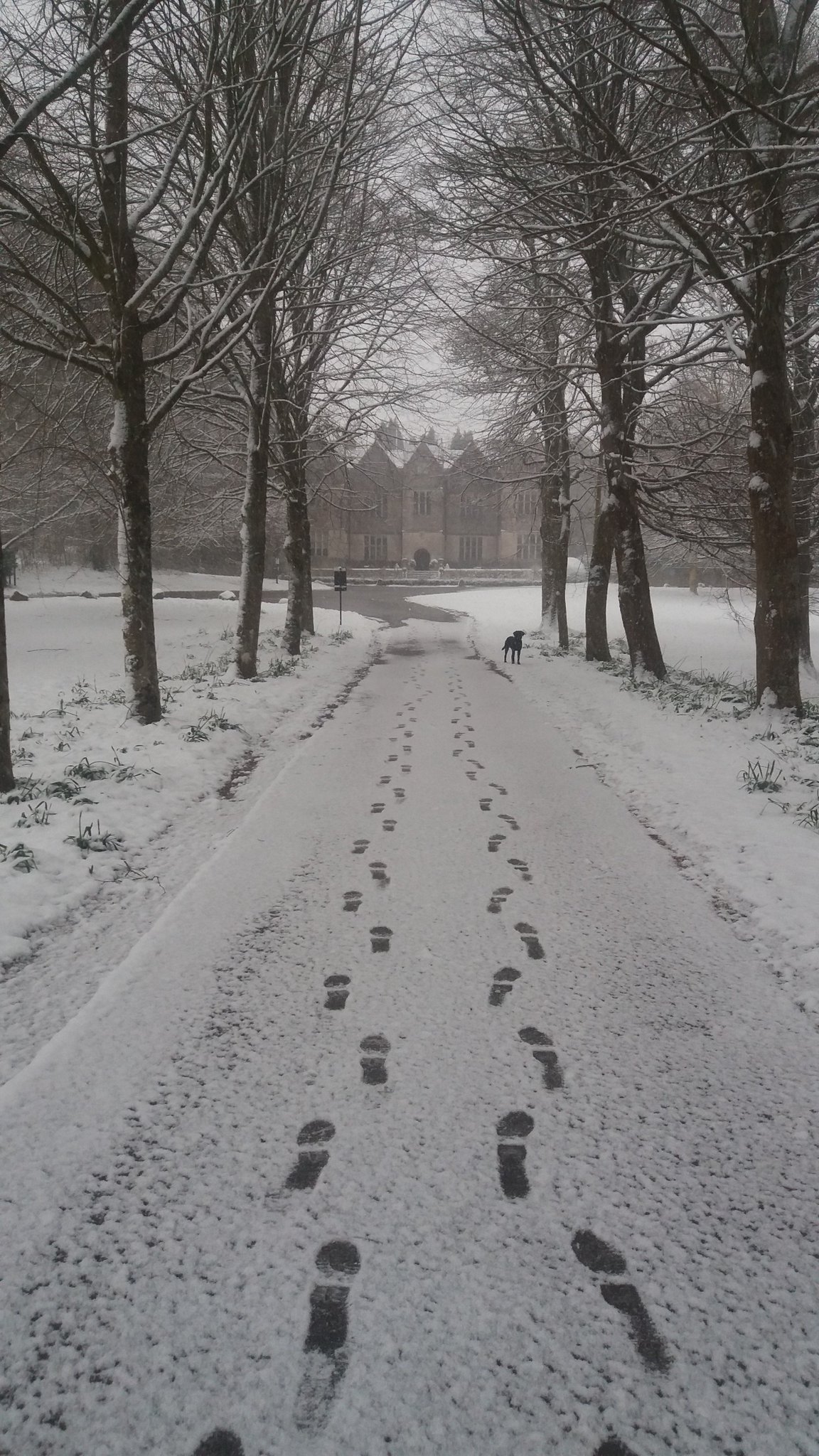 Luke Rake on Twitter: 