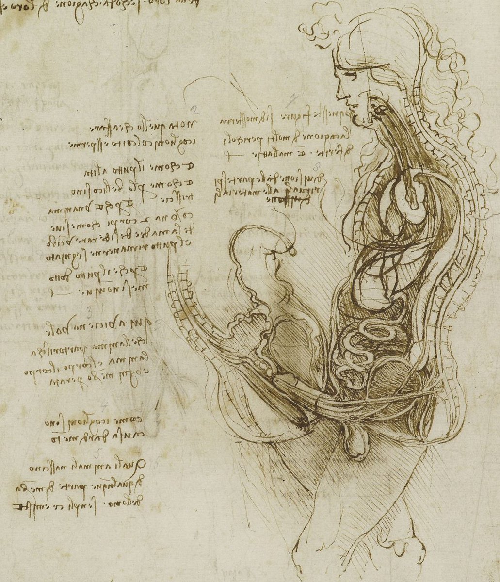 書肆ゲンシシャ 幻視者の集い Sur Twitter レオナルド ダ ヴィンチ Leonardo Da Vinci 1452 1519 による 解剖図 ルネサンスの芸術家が性交の様子を描いています 解剖学の知識を習得し 遺体解剖の現場に立ち会うこともありました 画家の目をもって観察し