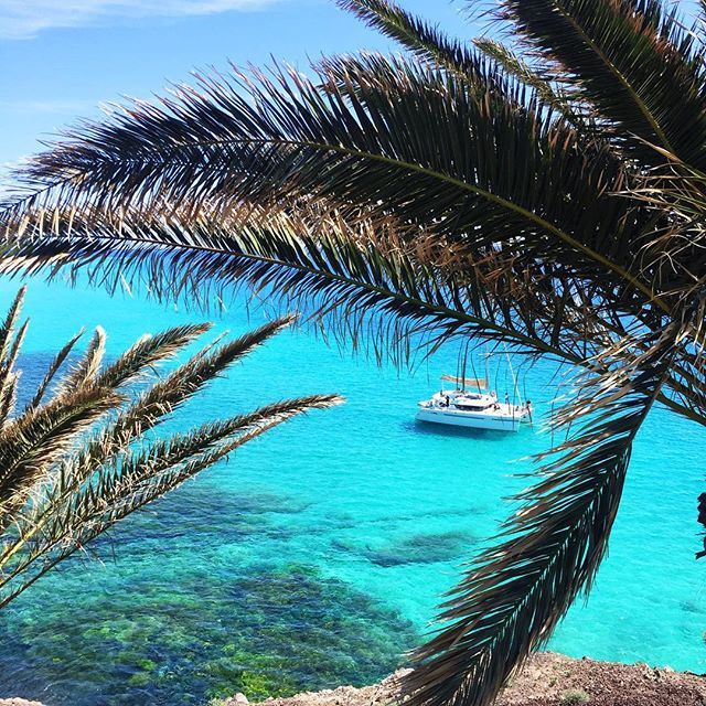 Travelplanet.pl tweet media