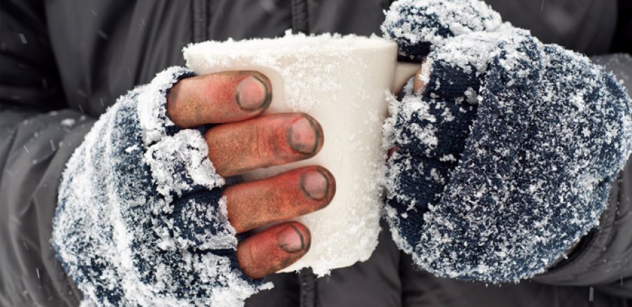 Porchlight tweet media