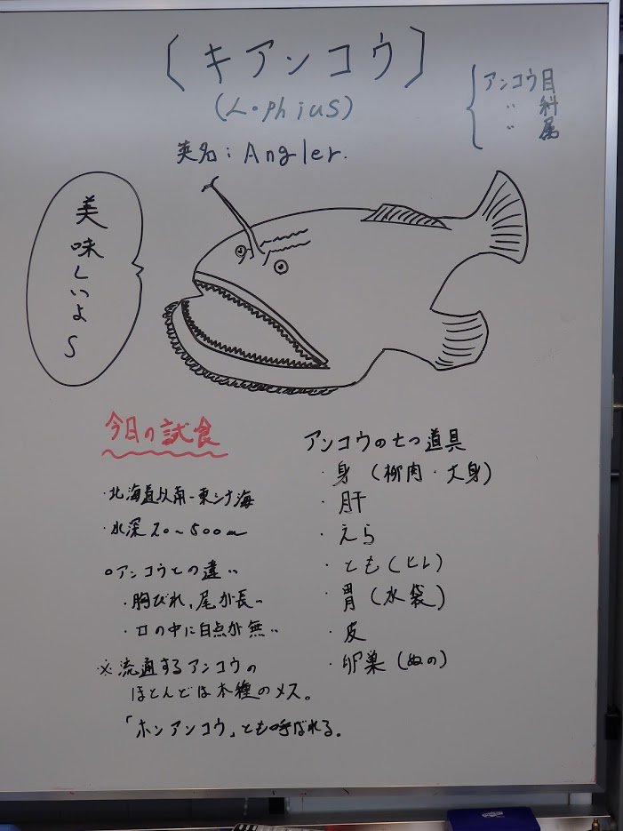 Yajifun 18年 第31回 1月21日 キアンコウ アンコウの七つ道具 第32回 2月18日 マングローブの森にて水槽に故障があり解説画無し 第33回 3月18日 マルアオメエソ メヒカリ