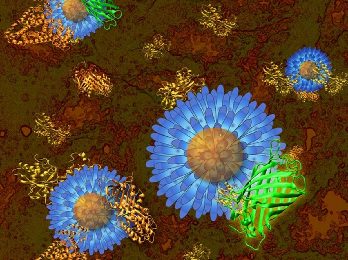 3 Reasons Why #Gold Will #Disrupt #Healthcare
briandcolwell.com/2017/02/3-reas… #nanoparticle #medtech #medical #tech #technology #disruption