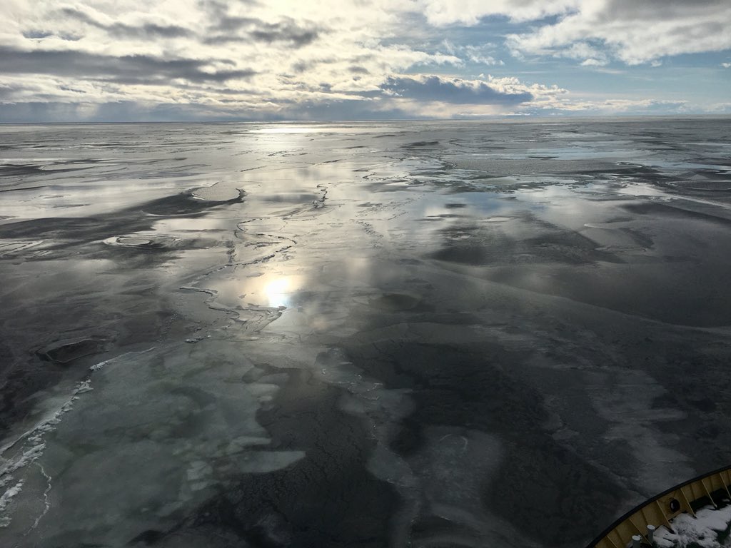New ice in Bay of Bothnia #springiscoming #nordicnature #thisisfinland #icebreaking