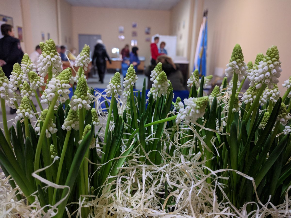 Весна пришла! Весне дорогу! И будущему президенту...) Голосуем! #голосмолодыхзвенигород #голосмолодых #УчастОК #выборы2018 #Подмосковье #ПодмосковьеВыбирает #МОйголос