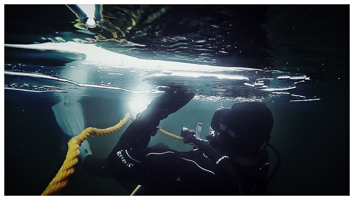 dominik_johnson's tweet photo. let’s do the time warp again! #LegendaryWinter cc. @Scubapro @PADI @waterproofdive https://t.co/VyhbW8KaM7
