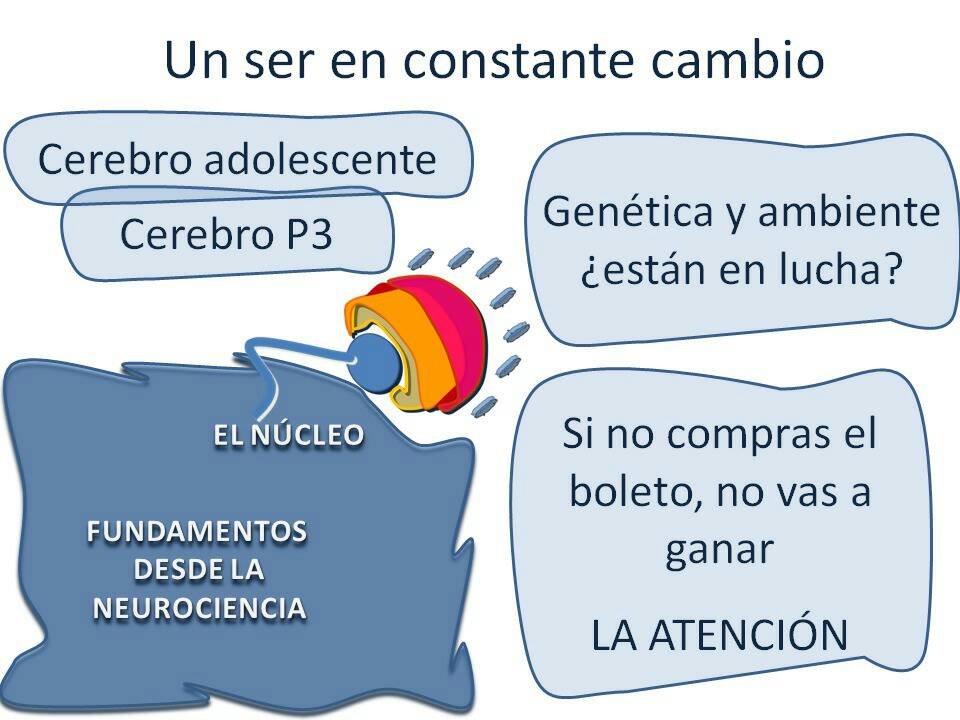 En Educarnos para Educar, debes superar un ¡primer reto! ¿Estás dispuesto a descubrir los Fundamentos desde la #Neurociencia? #educarnosparaeducar #neuroaprendizaje