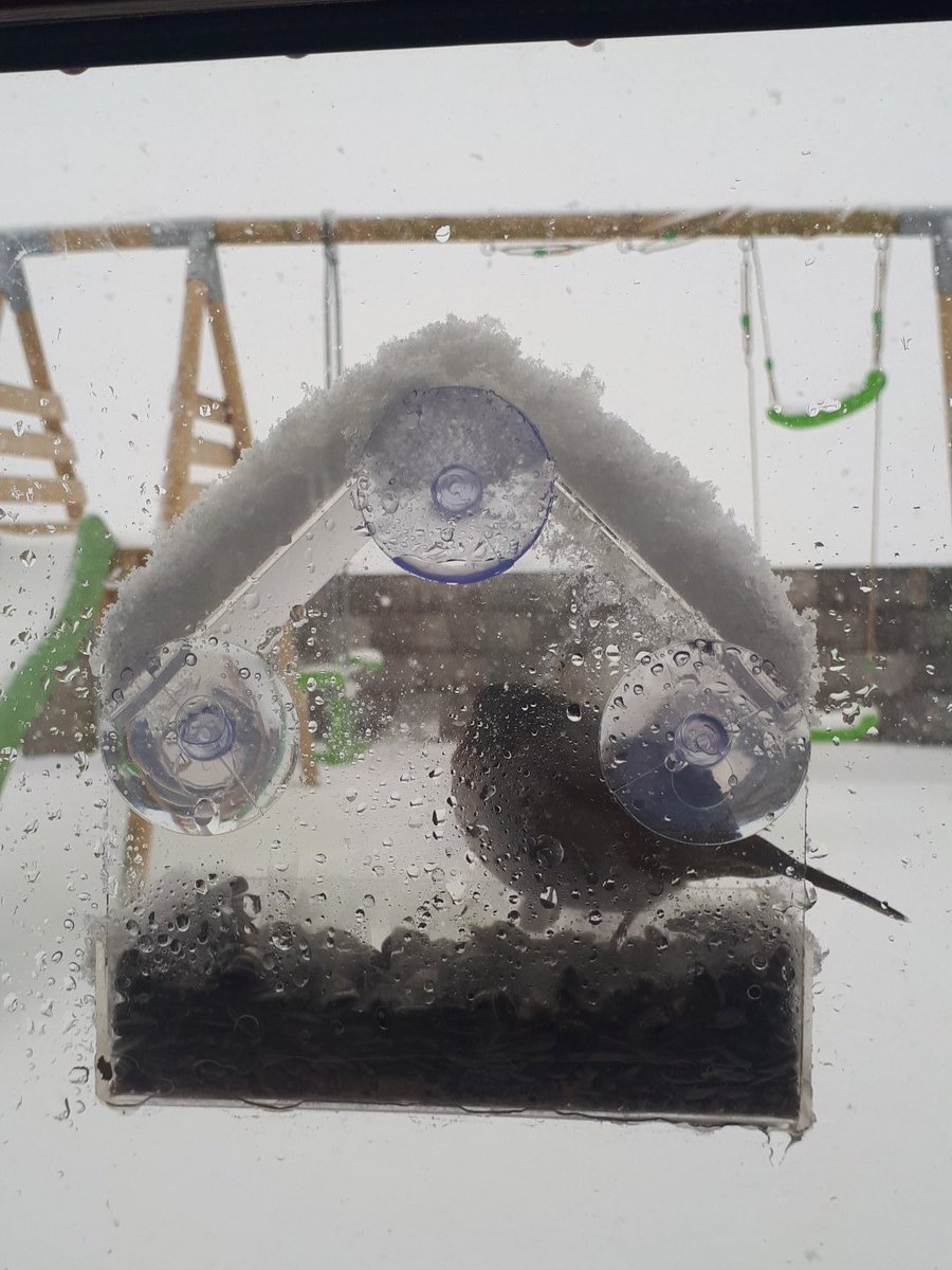 Puncture_Stop's tweet image. At least the birds have a bit of shelter and food .