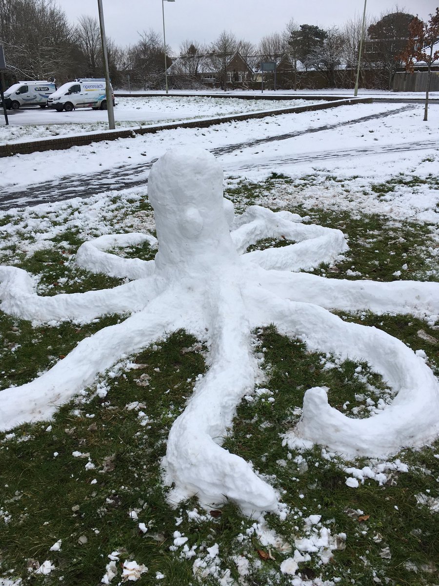 Cathryn Quick tweet media