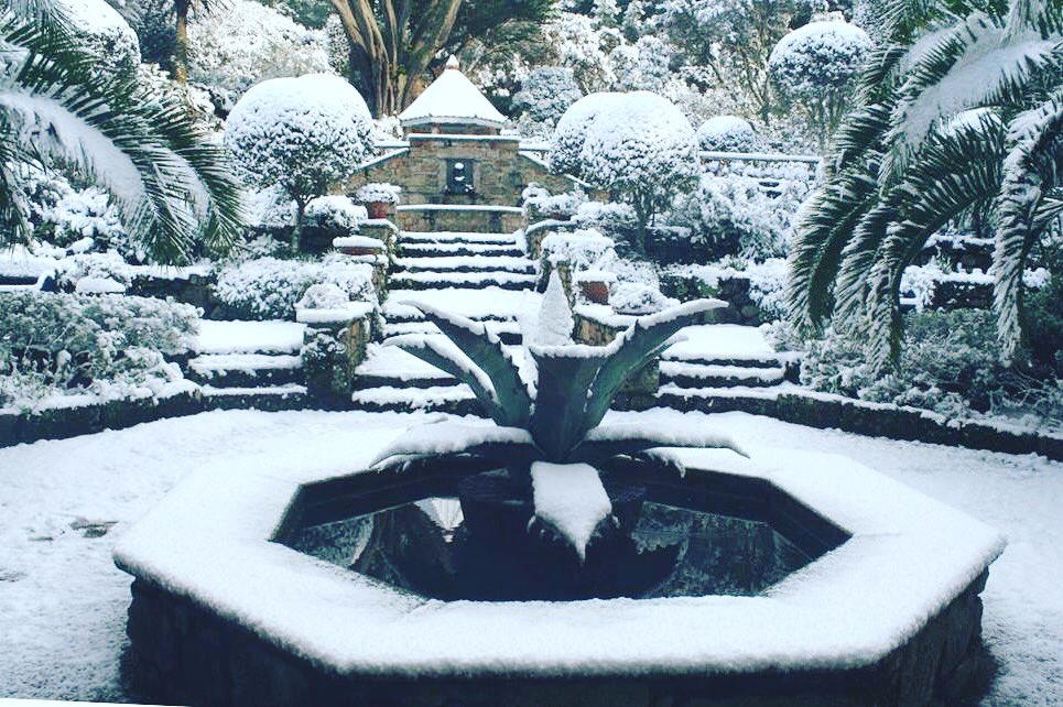 Tom Leaper tweet media