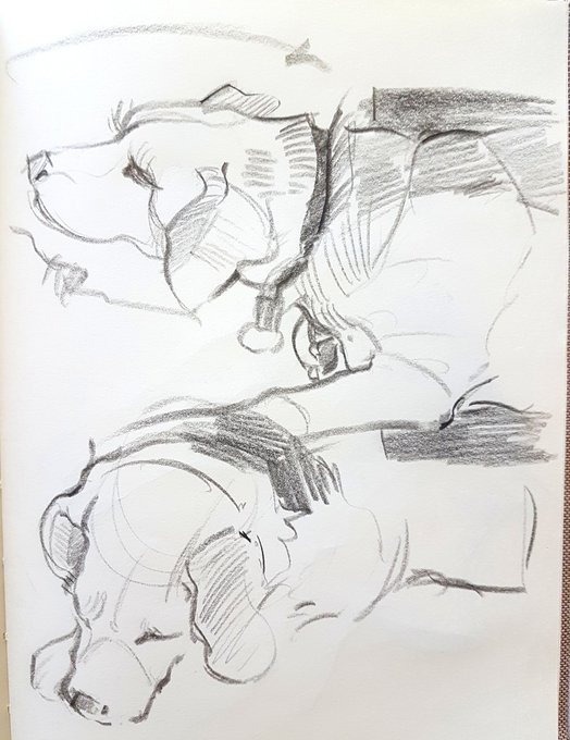 Sketchbook draws of my doggos 