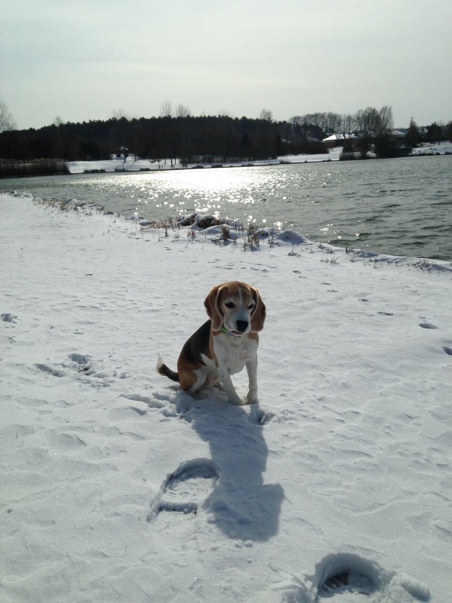 Anifit_Futter (@elke___wagner) on Twitter photo 