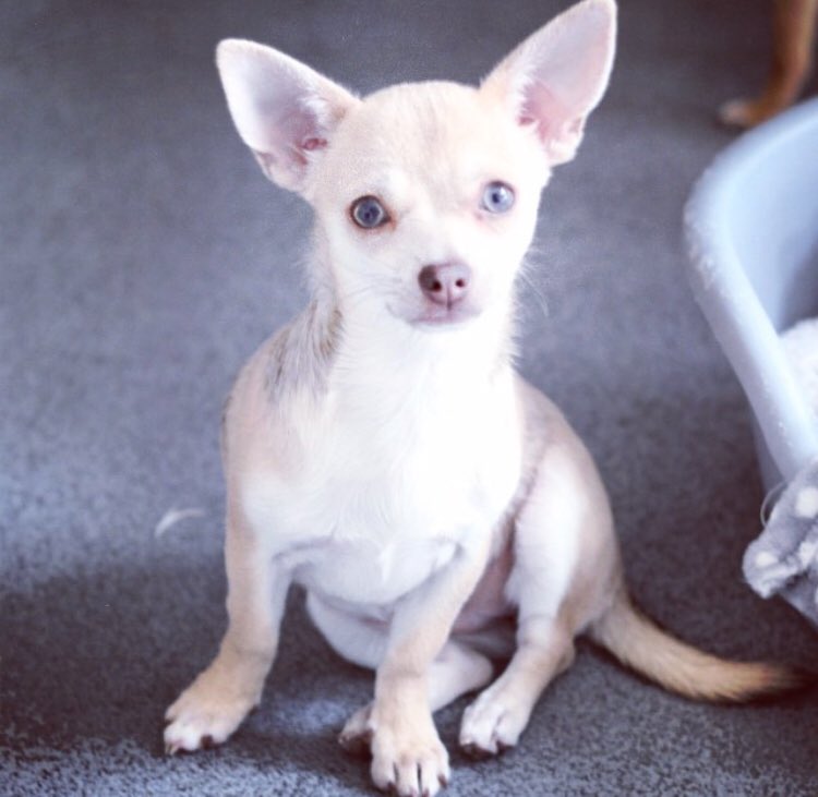 ClassBase tweet media