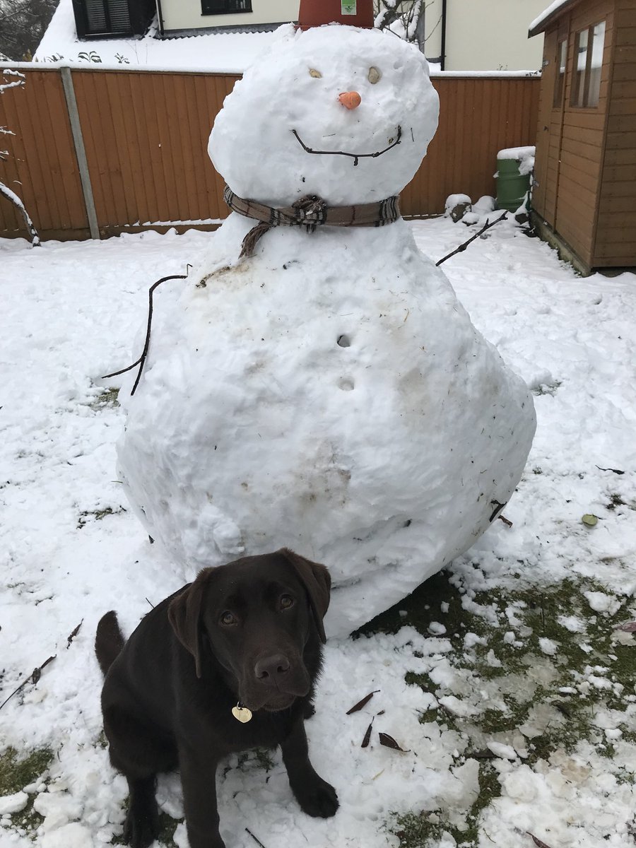 Spencer (@spencer30037237) on Twitter photo 