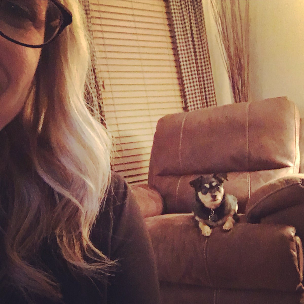 jenniebyers's tweet photo. @dannyanderson23 my dog’s love IS special, too...and also creepy at times! #alwayswatchingme #dogslife #myeclife https://t.co/4PvF7aCqnh