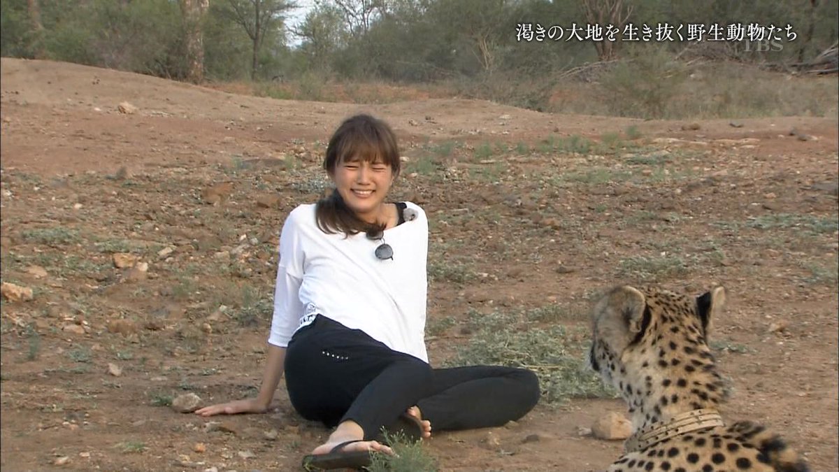 城丸香織 on X: BS-TBS 川口春奈 アフリカ動物大紀行～水が育んだ命の星～ t.coyg4aVPRZiT  X