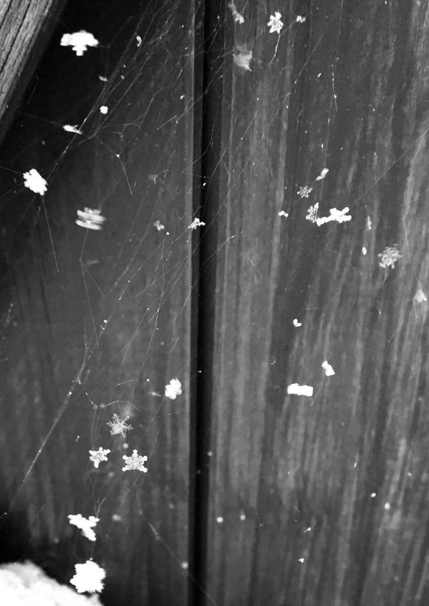 LouiseS1004's tweet photo. @metoffice Snow stars in Herts yesterday! https://t.co/EGHuzTY9Mg