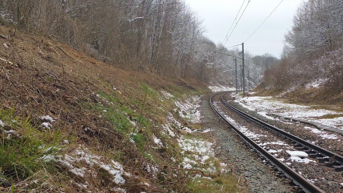 Jean-Luc MANGIN tweet media