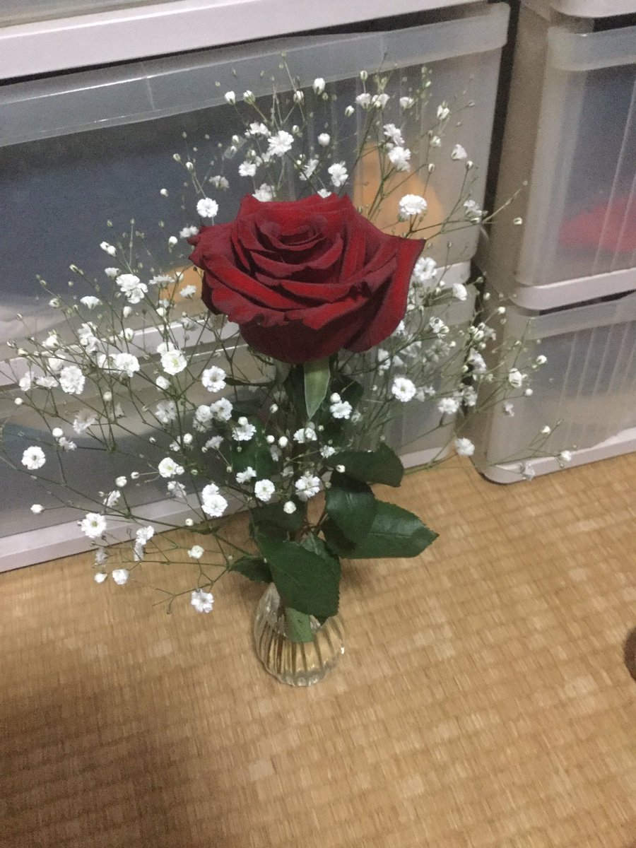 カスミソウになりたい アリス Twitterissa お花屋さんで一目惚れしたバラとかすみ草を買って飾ったら 花瓶が小さかった 今は卒業式と入学式でお花を買う機会があるのでは 花言葉を考えて送るのも良いですよね W ちなみにカスミソウの花束に