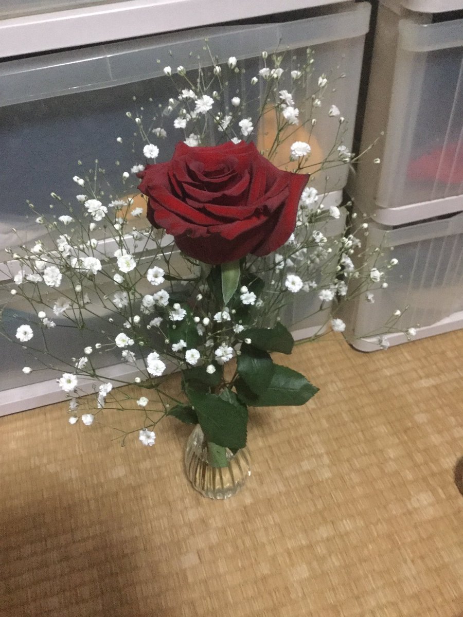 カスミソウになりたい アリス お花屋さんで一目惚れしたバラとかすみ草を買って飾ったら 花瓶が小さかった 今は卒業式と入学式でお花を買う機会があるのでは 花言葉を考えて送るのも良いですよね W ちなみにカスミソウの花束に