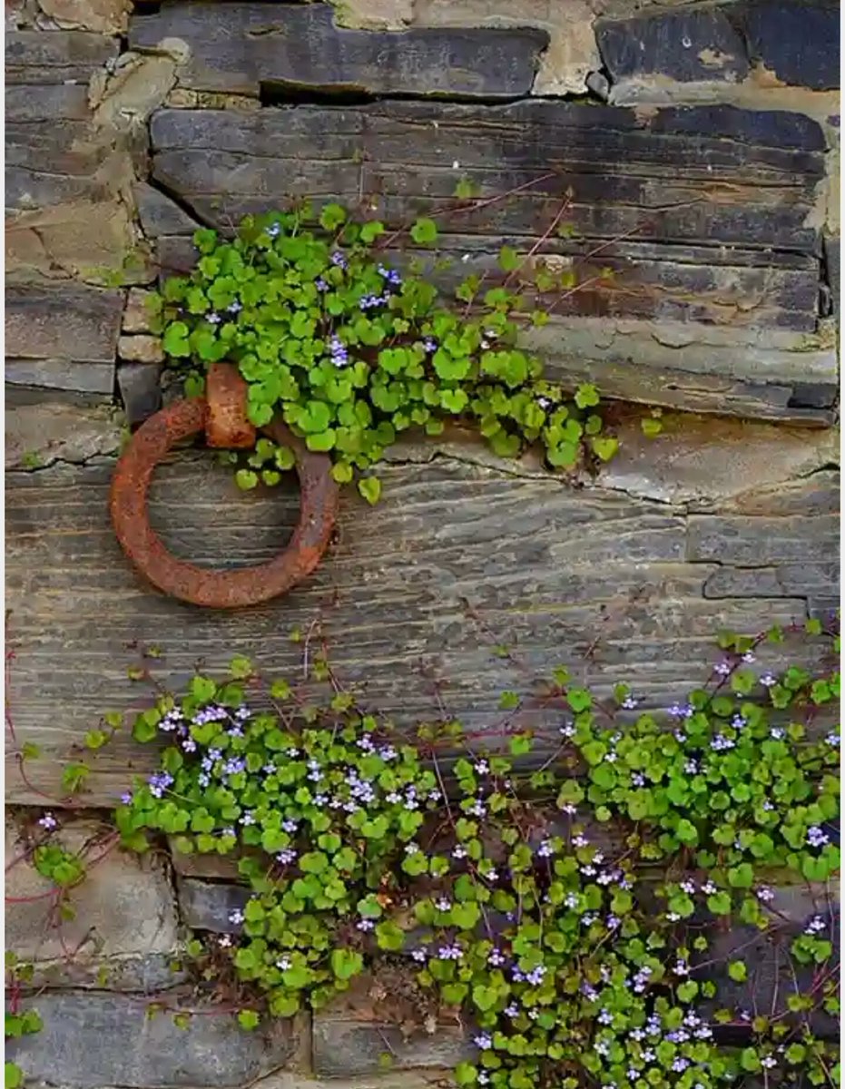 "Gerçekten doğal olmayan, doğa yasalarına aykırı bir tavır zaten ayakta kalamaz, bu yüzden de yasaklanmasına gerek yoktur."

Yuval Noah Harari