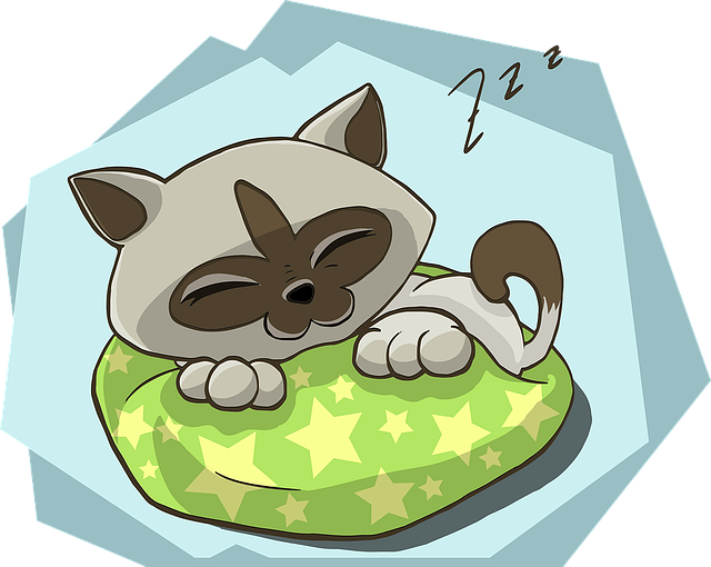 EnglishBug7's tweet image. I'm not going to lose any sleep over it  ▶️  no me va a quitar el sueño

#EB7 #inglés #LearnSpanish