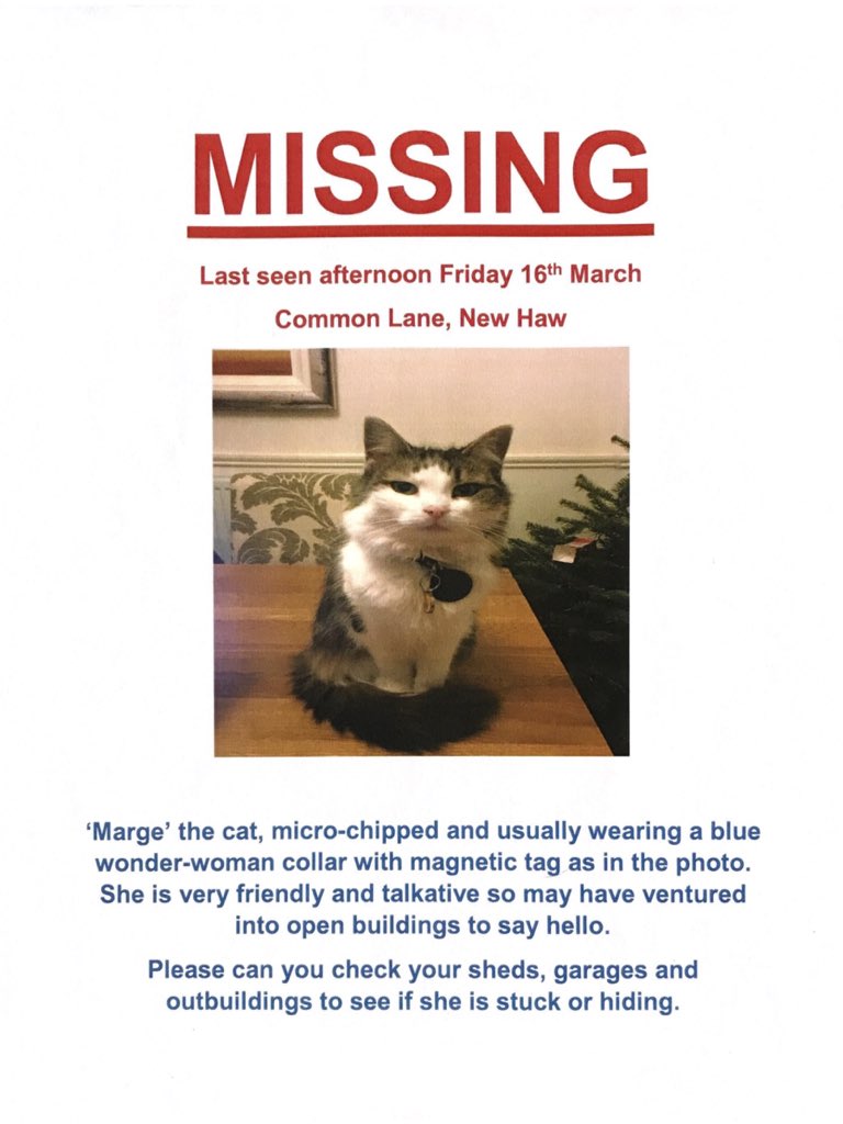 Please keep an eye out for my friends cat in #newhaw #addlestone #byfleet please check outbuildings. It’s cold out there. @petregister @PetsAlertUK @littlelostmates @CatsProtection Please contact me on here if sighted in these areas. Thank you.