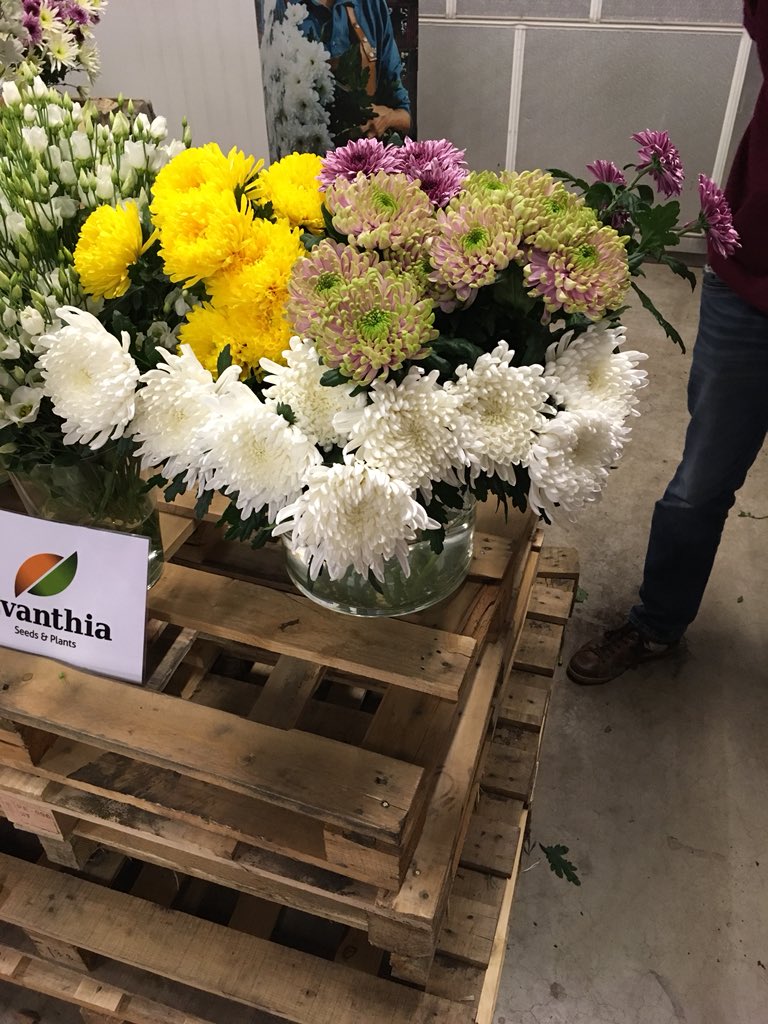 Jeroen Steenbergen (@deliflorjeroen) on Twitter photo Very inspirational florist event! <a href="/BeyondChrysant/">BeyondChrysant</a> <a href="/Deliflor/">Deliflor Chrysanten</a> <a href="/DeVakbloemist/">De Vakbloemist</a> #baltica10years #theoriginal Very inspirational florist event! <a href="/BeyondChrysant/">BeyondChrysant</a> <a href="/Deliflor/">Deliflor Chrysanten</a> <a href="/DeVakbloemist/">De Vakbloemist</a> #baltica10years #theoriginal