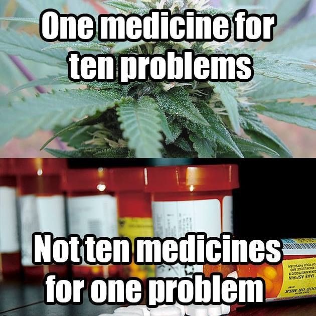 RSStrayer's tweet image. What the doctor SHOULD have ordered.
CBD Oil....all health, no high
#cbdforme 
#godsmedicine 
#fromsoiltooil #mothernatureknowsbest
#whyarewepoisoningourselves
#duchesspmb