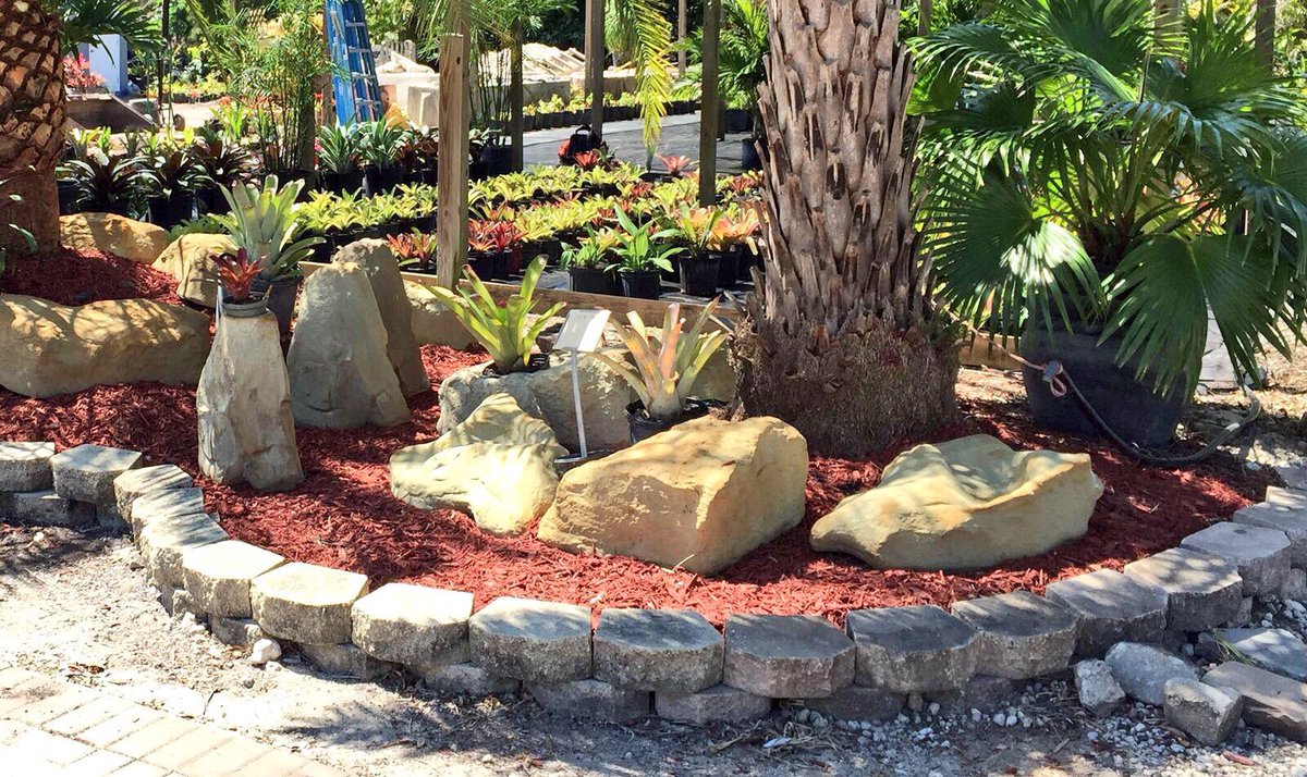 tc_nursery's tweet photo. Need a new landscape? Come to T&amp;C Nursery at 16650 Griffin Rd in Southwest Ranches Fl, they will help you create the landscape of your dreams 😍 https://t.co/kXgOuxrXfl