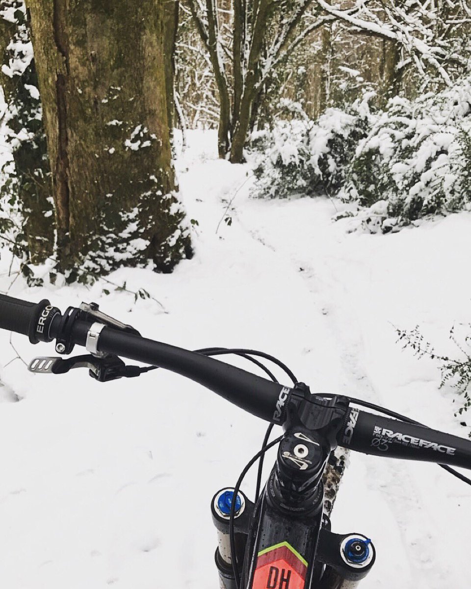 Snowy situations in the woods today 😍