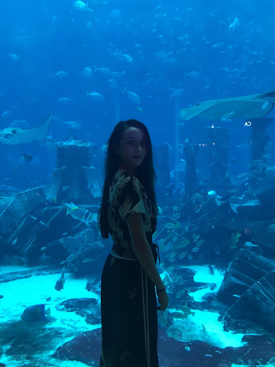 veronicamerrell's tweet image. Swim little fish 🐟 

Apparently this is one of the biggest aquariums in the Middle East #Dubai