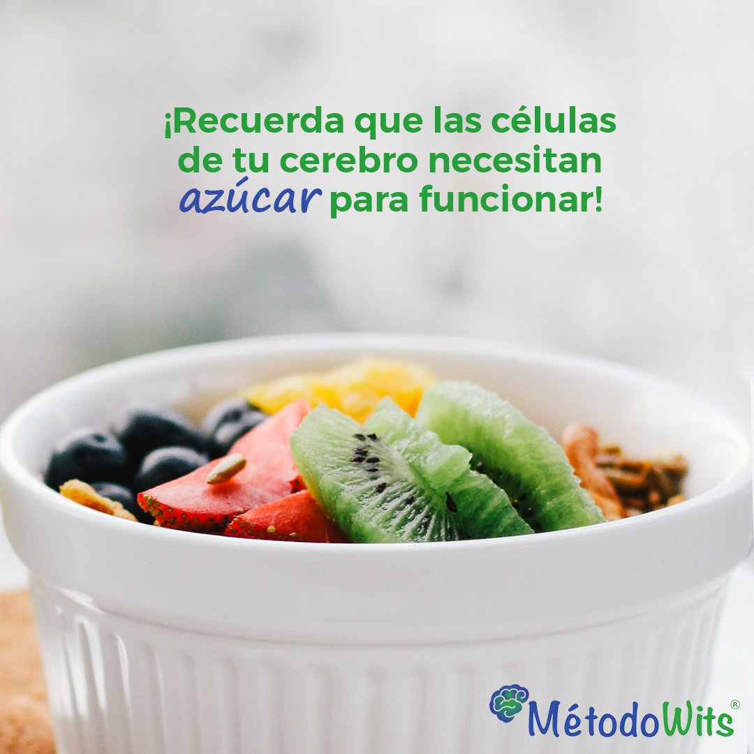 MetodoWits's tweet photo. Las células de tu cerebro necesitan azúcar para funcionar y la mejor manera de obtenerla es a través de materias primas que la contengan, como las frutas. ¿Cuál es tu favorita?

#Desafiate#MetodoWits#MetodoNovedoso#MetodoInnovador#Aprendizaje#atencion#concentracion#memoria https://t.co/DYchHO2NbP
