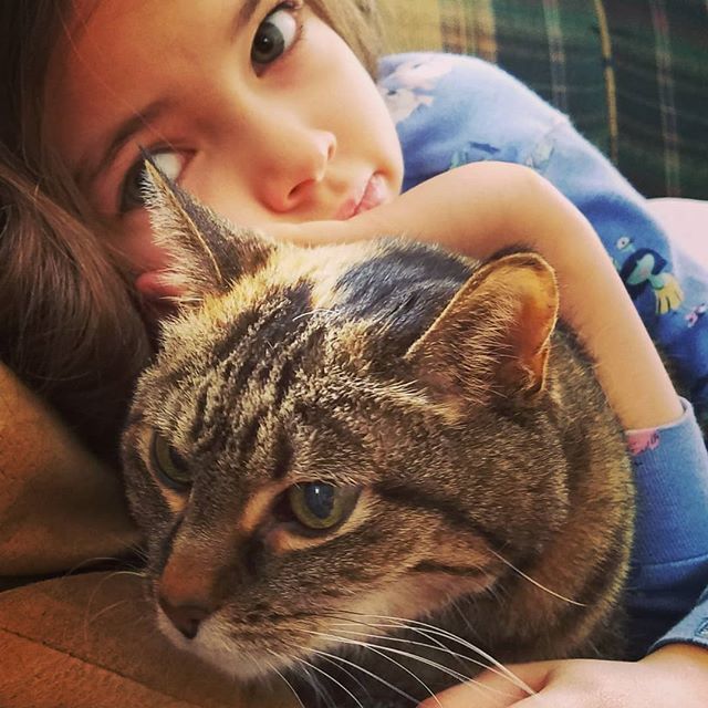 PCoryGonzales's tweet photo. Lazy Sunday
#catsofinstagram #kidsofinstagram #sofasofinstagram https://t.co/JTdxLbtXp8 https://t.co/GicGfwFEY7