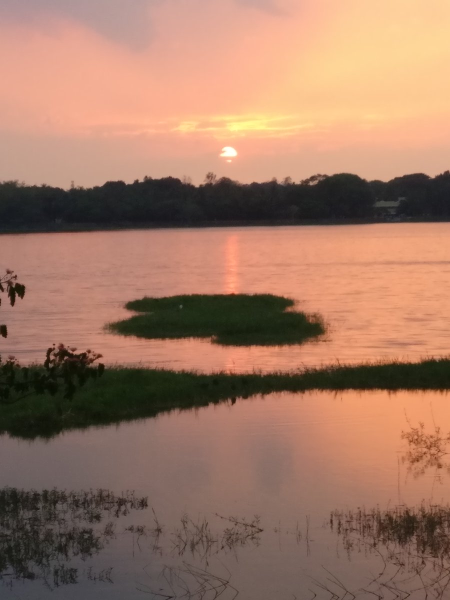 Evening stroll at Kukkarhalli kere. 
#Mysore