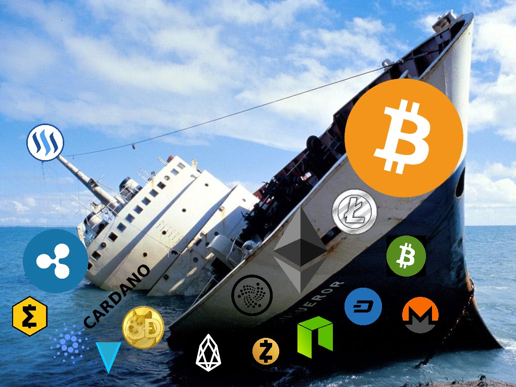 IMJamesBone's tweet photo. Bitcoin Maximalists be like "We're winning" #bitcoin #bitcoincash #litecoin #ethereum #monero #dash #eos https://t.co/aWU5L3xe8k