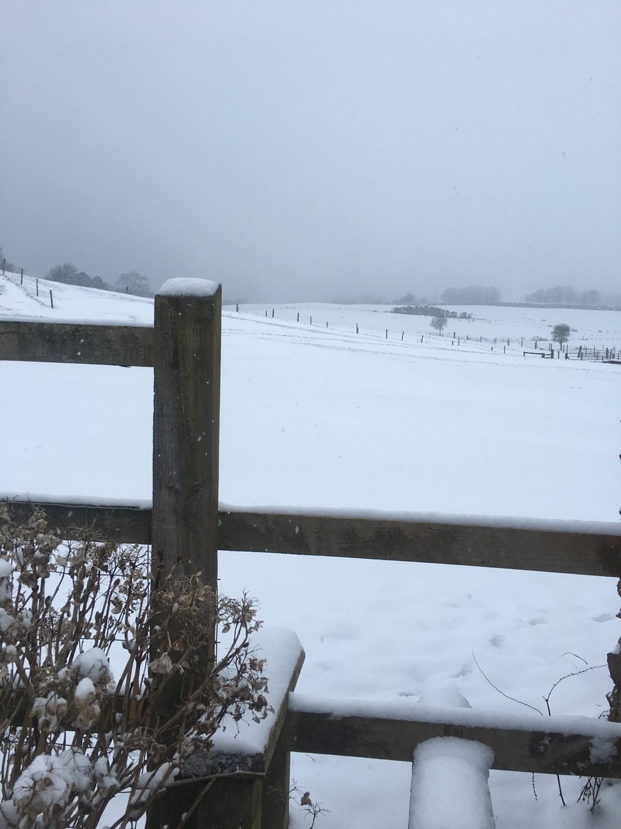 QuantockTrekkin's tweet photo. Here we go again!! @QuantockTrekkin @Quantockhills @outsidemagazine @SmrsetOutdoorNT @ArtSomerset https://t.co/HuscOnCC2F