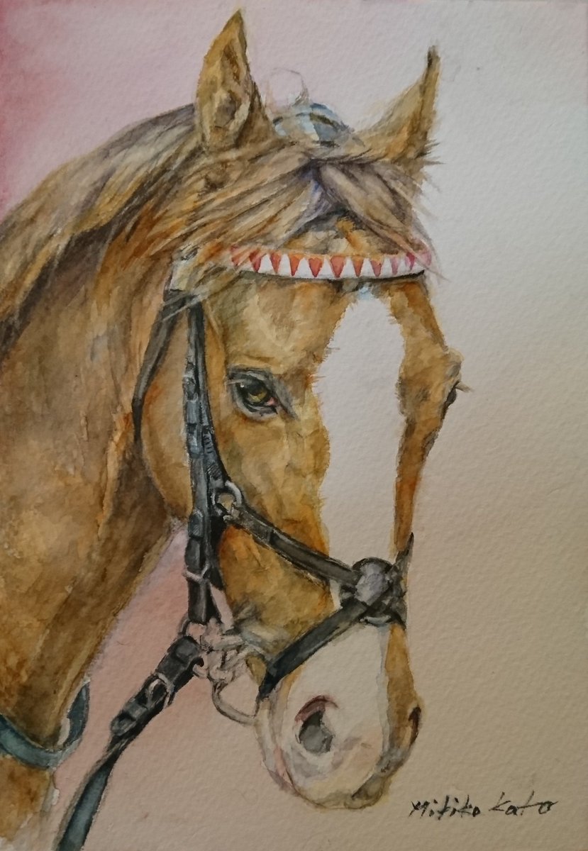 加藤美生子 馬絵師 無性にこのコが描きたくなりました なかなかに色気のある目をしてらっしゃいます スワーヴリチャード 馬 の絵 馬イラスト 水彩画 水彩絵を流して水彩民を増やそう