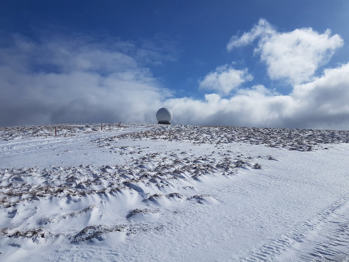 Martin Connell tweet media