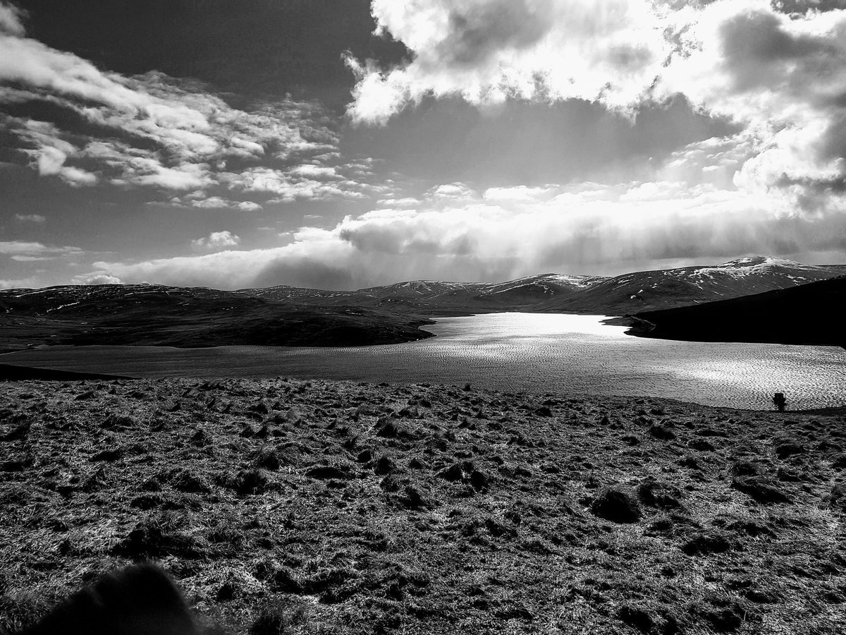 Martin Connell tweet media